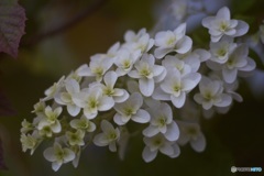 55D3404A-7135-4E05-A218-52F42C7C281D