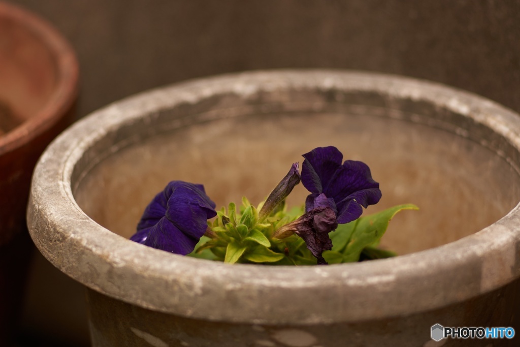 5FDB3100-A9BA-404F-8C87-F3EC08C55DB8