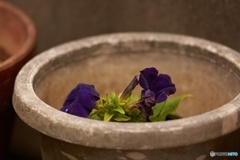 5FDB3100-A9BA-404F-8C87-F3EC08C55DB8