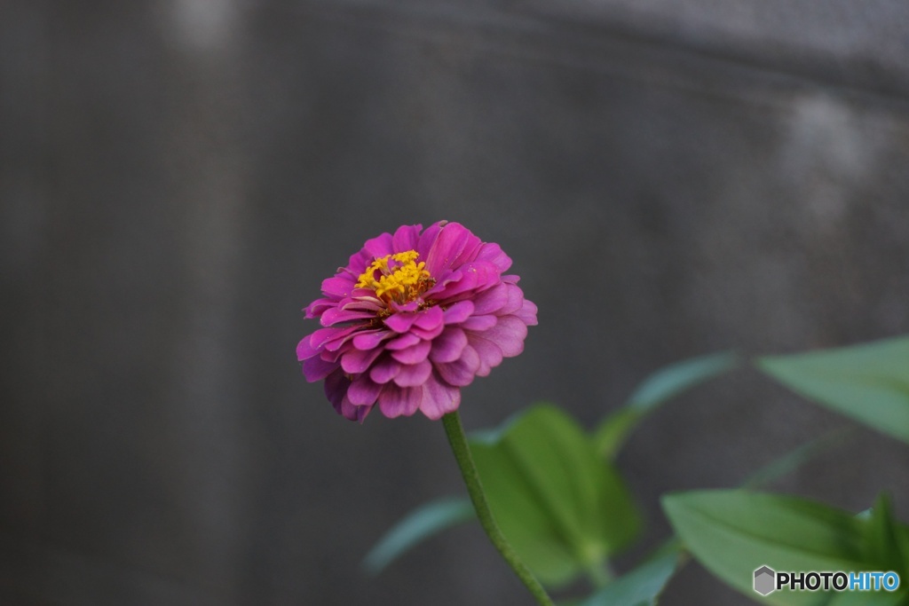 006B8AEE-4C88-42C3-B3EA-0C91B93D3F52