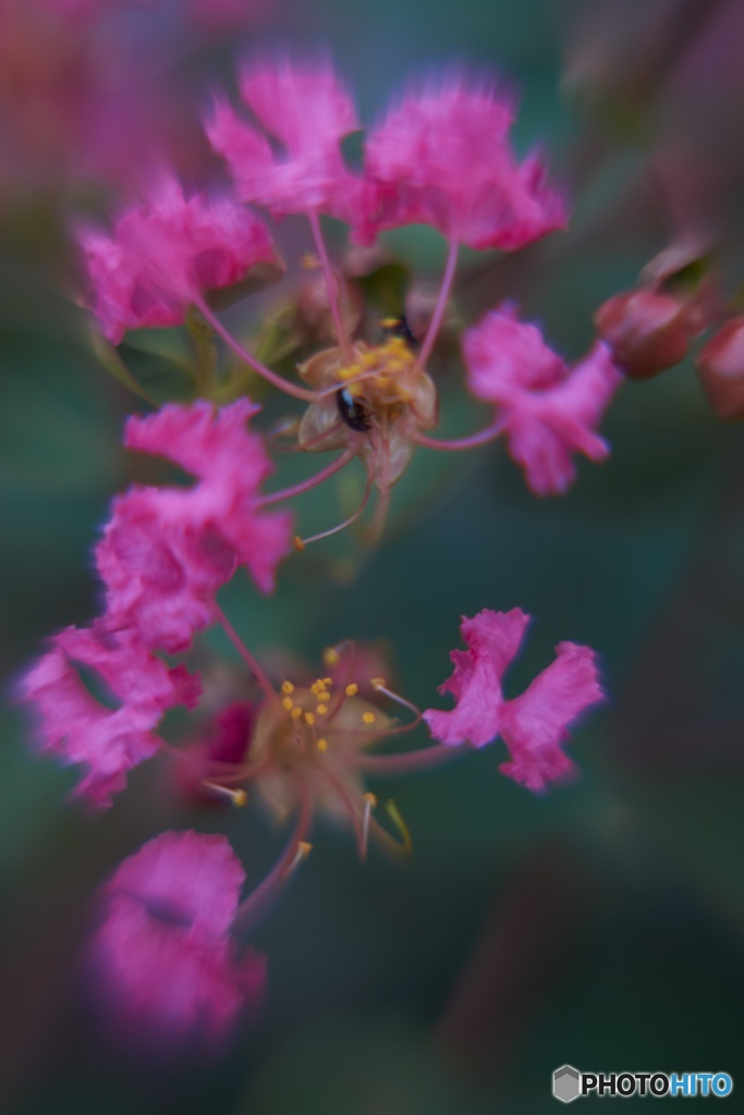 A647F4D4-1B93-4272-9BC6-F86B54421C51