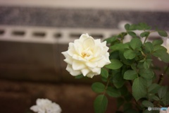 60CC0DBB-C3E9-4EF5-9FF5-3D1699AA10BB