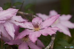 20687478-15E4-4EC8-86FF-E4AD90D77A80