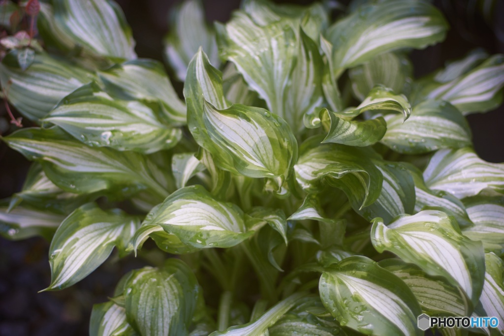 FAE1DAAB-93D0-4297-BD13-A81309570B71