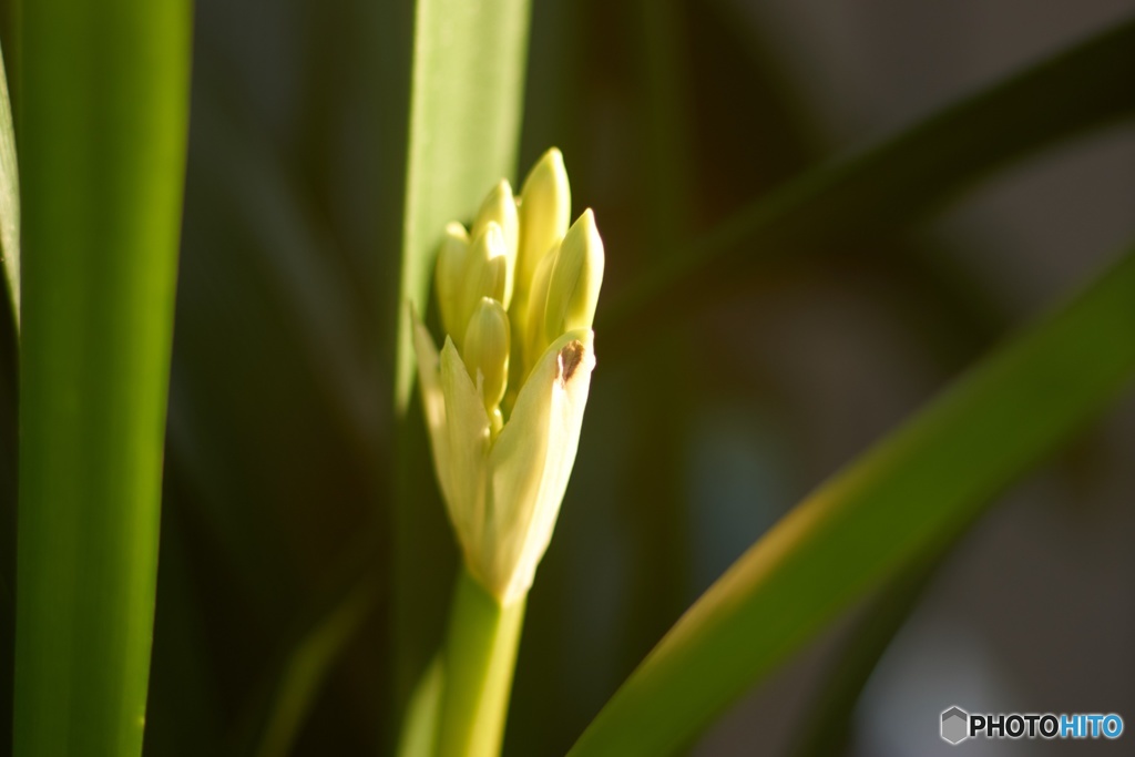 C45DA50A-A58B-4F51-8190-4FB9F2F30041