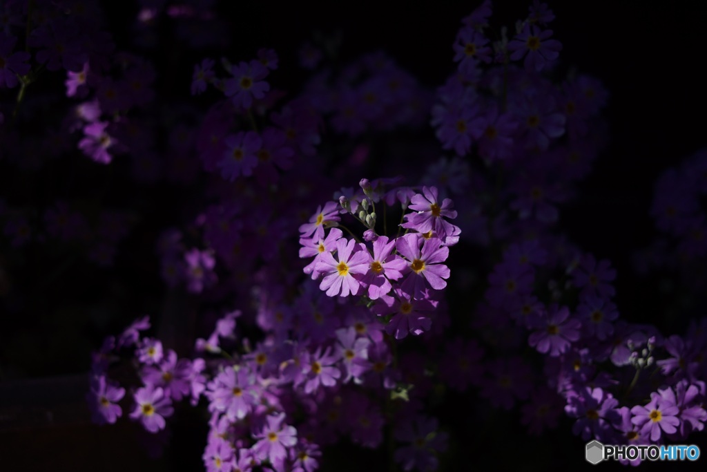 3E60516E-D944-454B-A8F1-84A6571E1C56