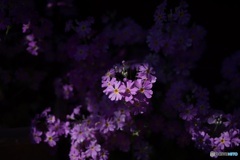 3E60516E-D944-454B-A8F1-84A6571E1C56