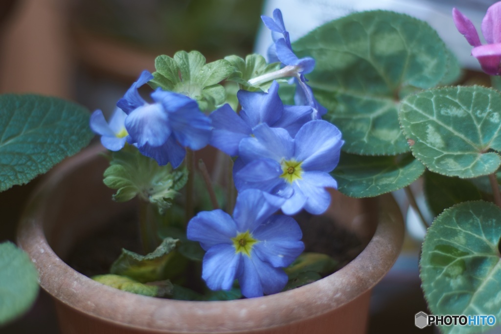 CB0EC42F-7060-4C42-A34B-1C1CE88A1729