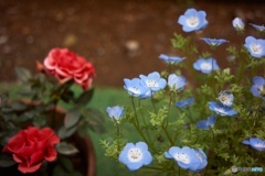 65E444E2-DFF1-49C0-B150-EBA870EBD252