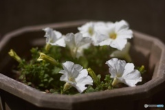 E0401C49-C690-4C28-9D7B-6562A14137BD