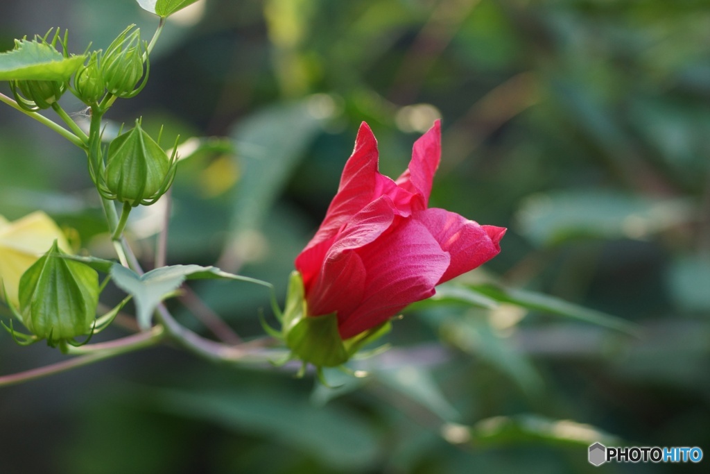 6EC1F803-1AA6-4C44-810A-899217B1D745