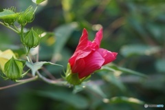 6EC1F803-1AA6-4C44-810A-899217B1D745