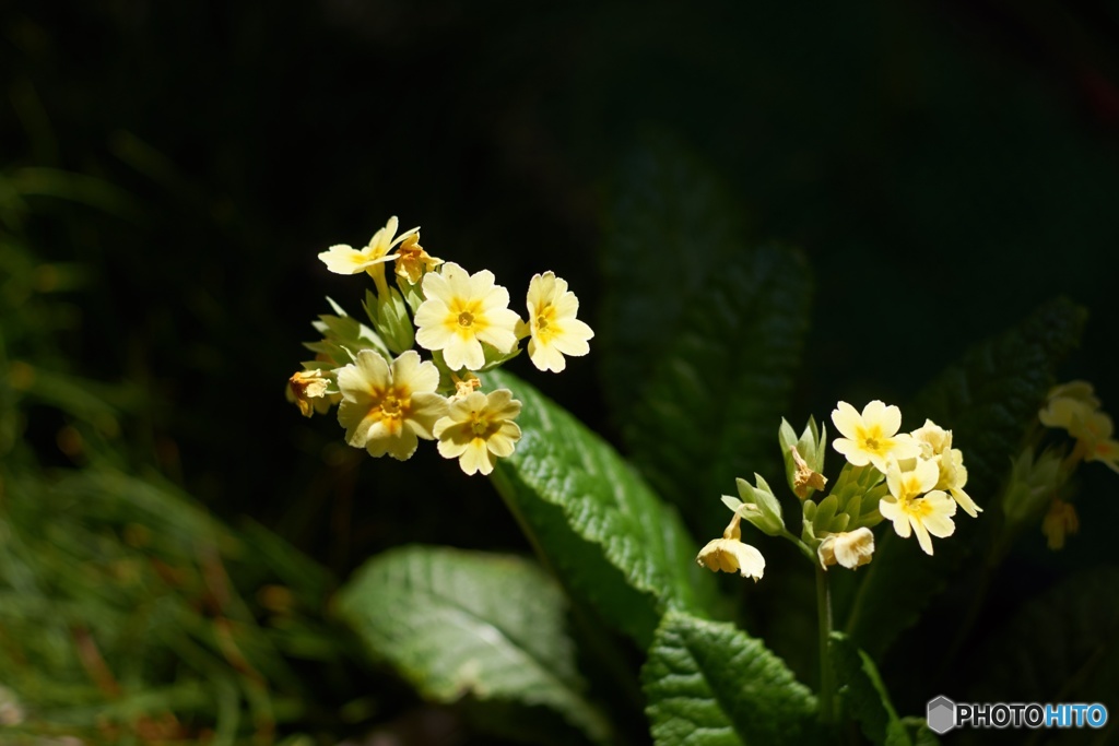 F82CF762-9E1D-4E5D-93D2-826DB8262E52