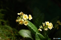 F82CF762-9E1D-4E5D-93D2-826DB8262E52