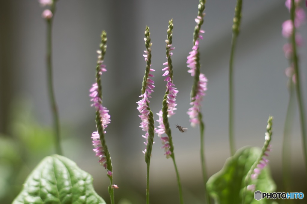 A0EFCAAE-68E9-4A14-B511-5676C066373F