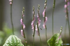 A0EFCAAE-68E9-4A14-B511-5676C066373F