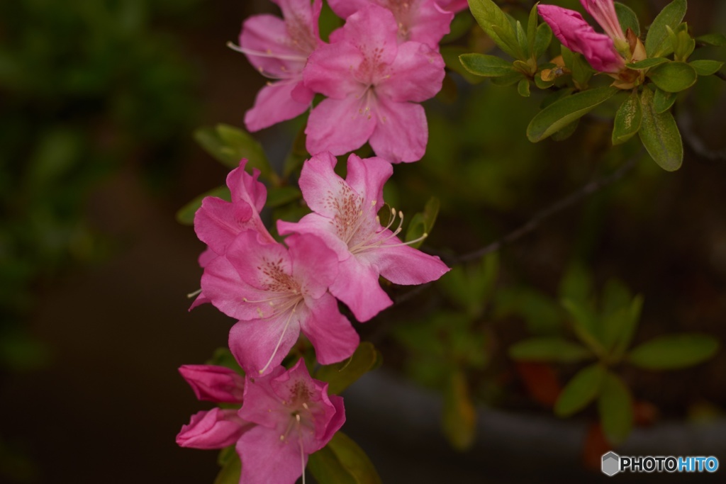 C2F9D6F9-0168-4ACE-AB53-FCBF0D411A24