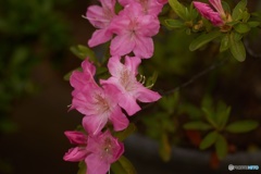 C2F9D6F9-0168-4ACE-AB53-FCBF0D411A24