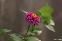 CFFBD065-008D-4E93-A0BF-8CB63EE1E25F