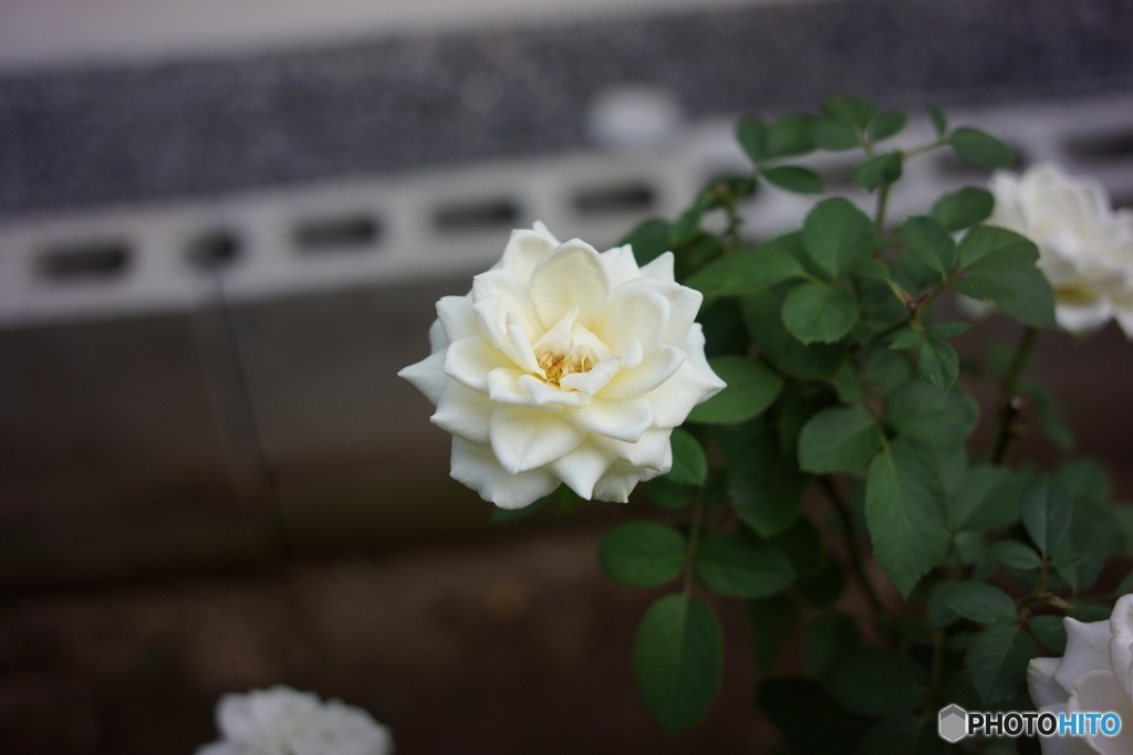 6F3E8D2C-3BD7-4074-A2CB-693ACDD2FEC7