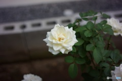 6F3E8D2C-3BD7-4074-A2CB-693ACDD2FEC7