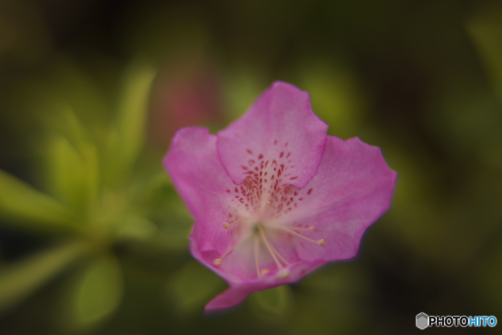 A2115457-9CEC-479D-B2D4-4651017F7619