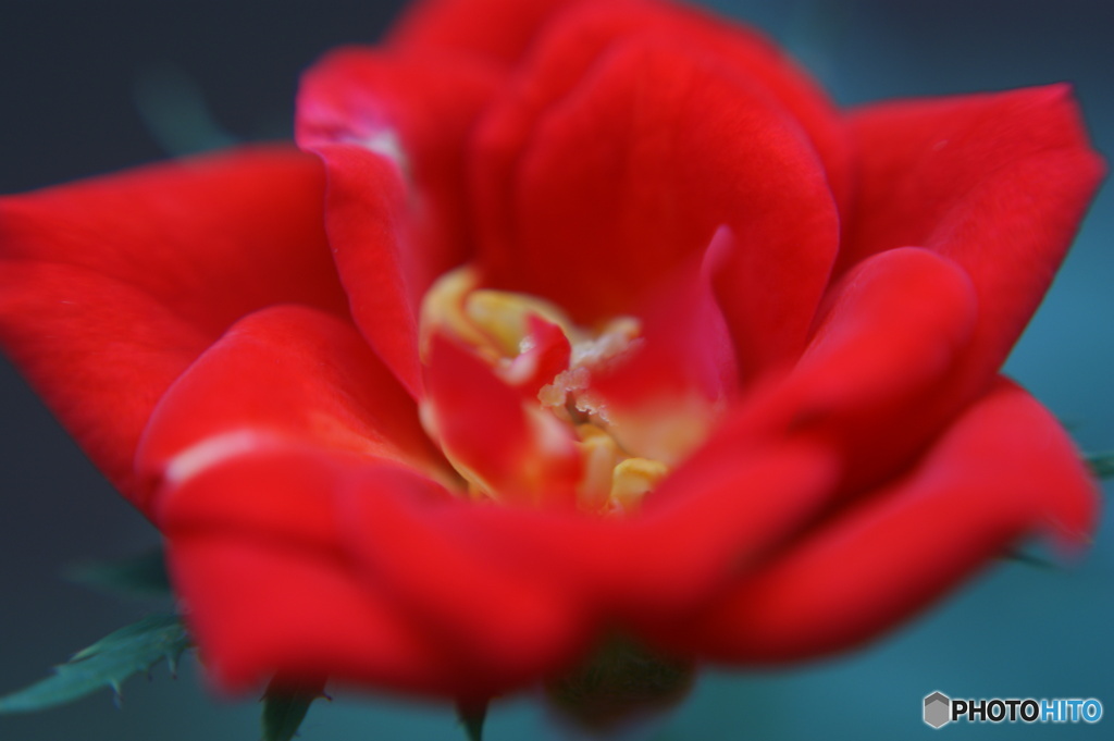 58727174-C22E-4D9D-900D-6B04635CAB42