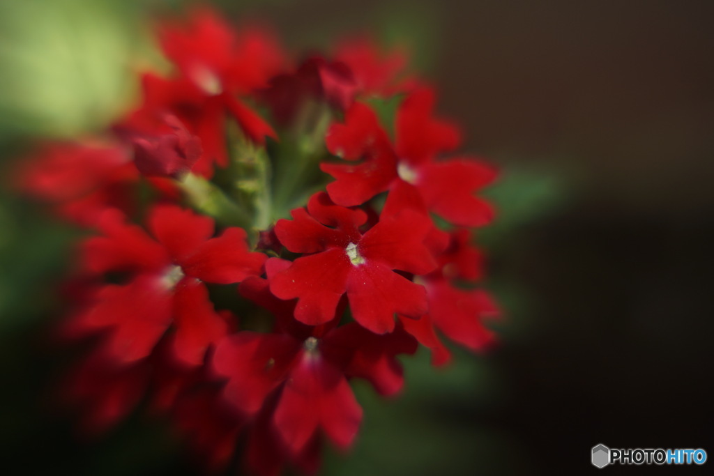 0C139F53-205B-43C6-80D5-977C1FA3EB21