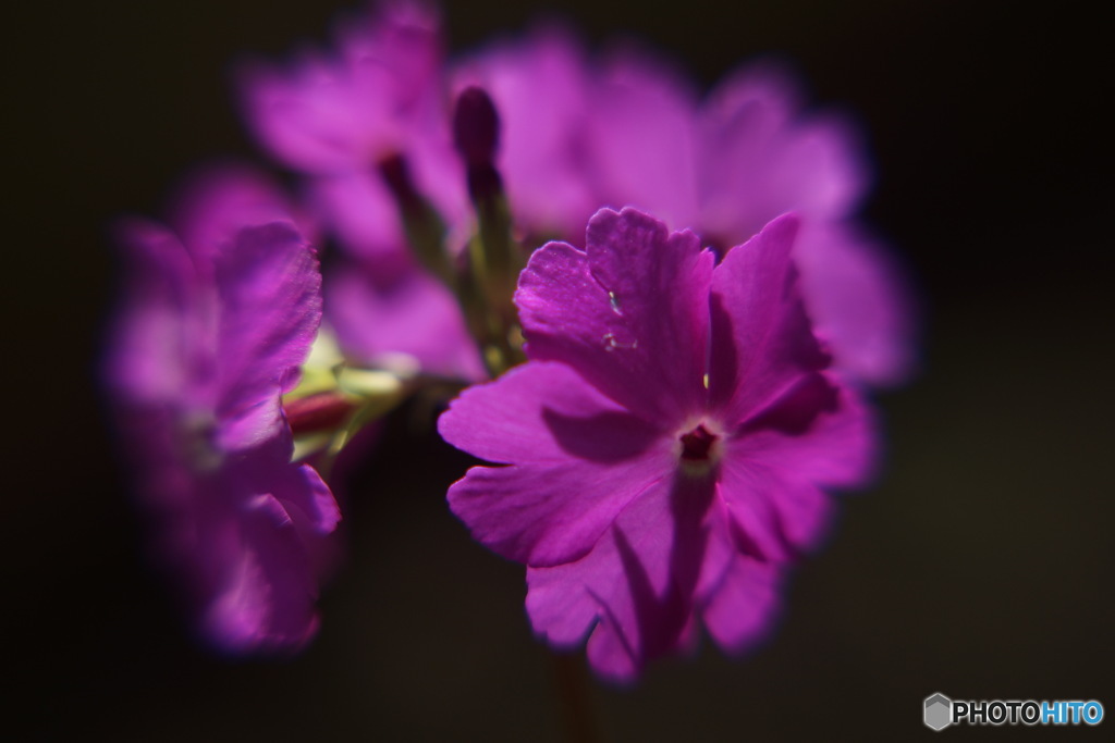 D2618521-F150-4B0D-80F7-3960D1BC50FF