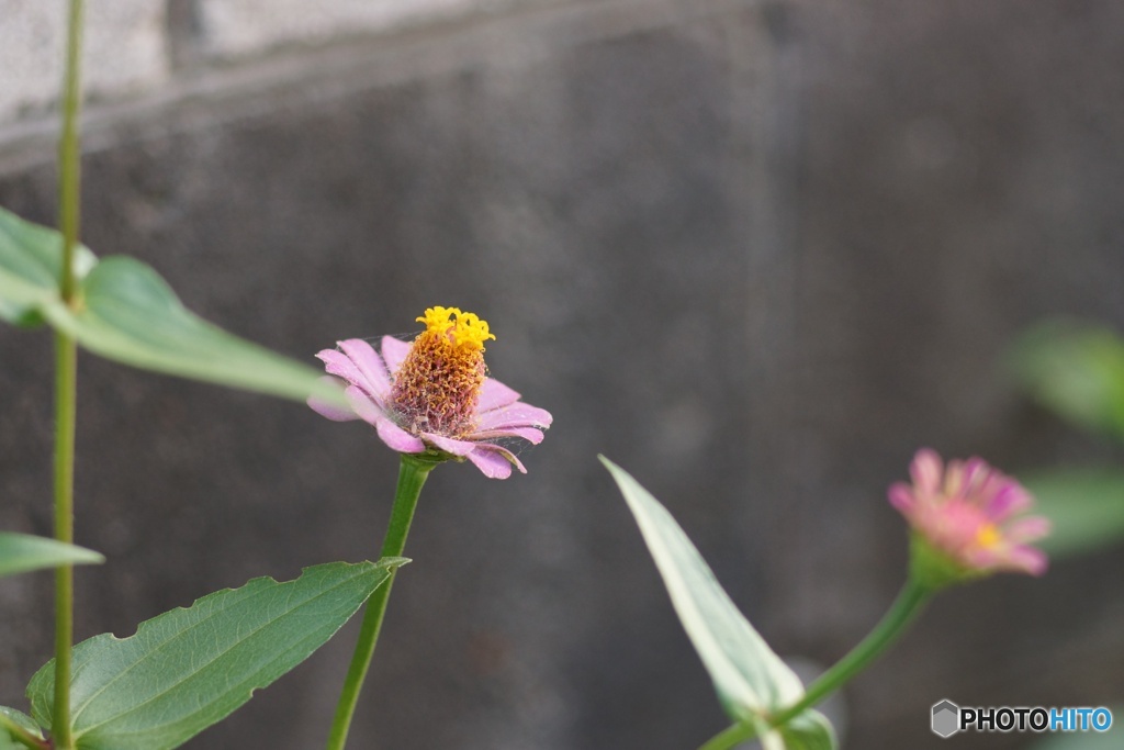 0846A847-F56A-49C1-ACDF-8226B17C3FC3