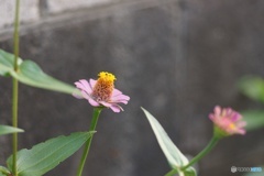 0846A847-F56A-49C1-ACDF-8226B17C3FC3