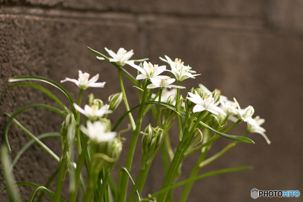 1185AE87-2721-4FEE-B9C6-8C41341B4F60