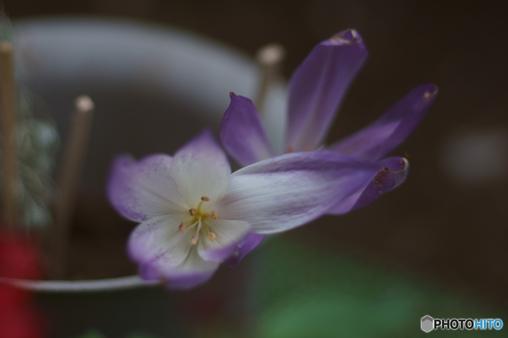 586791A6-4475-48B5-9264-CE0721B20B1F