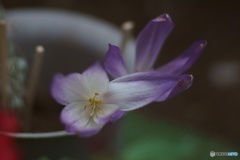 586791A6-4475-48B5-9264-CE0721B20B1F