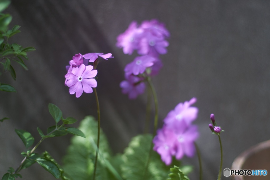 EBC0978D-5DF8-4BDC-A3CB-2F6BC3600B46