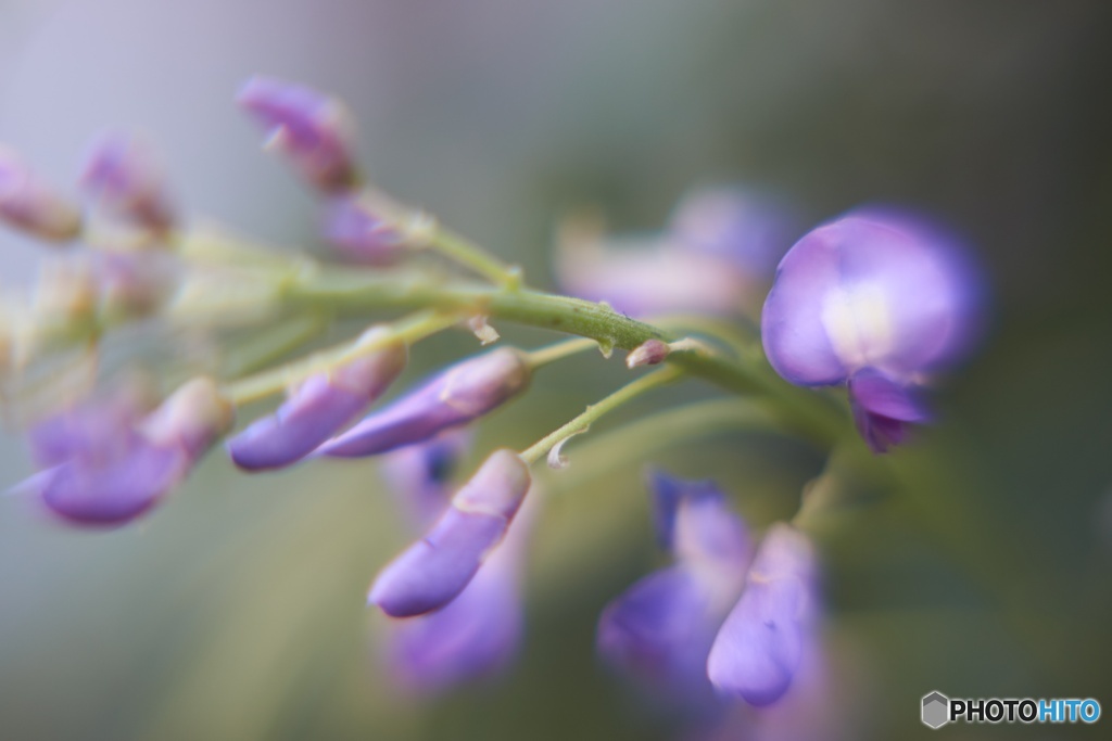 FA3EA3AF-7AA0-4FA1-9D0D-BD573BA351D0