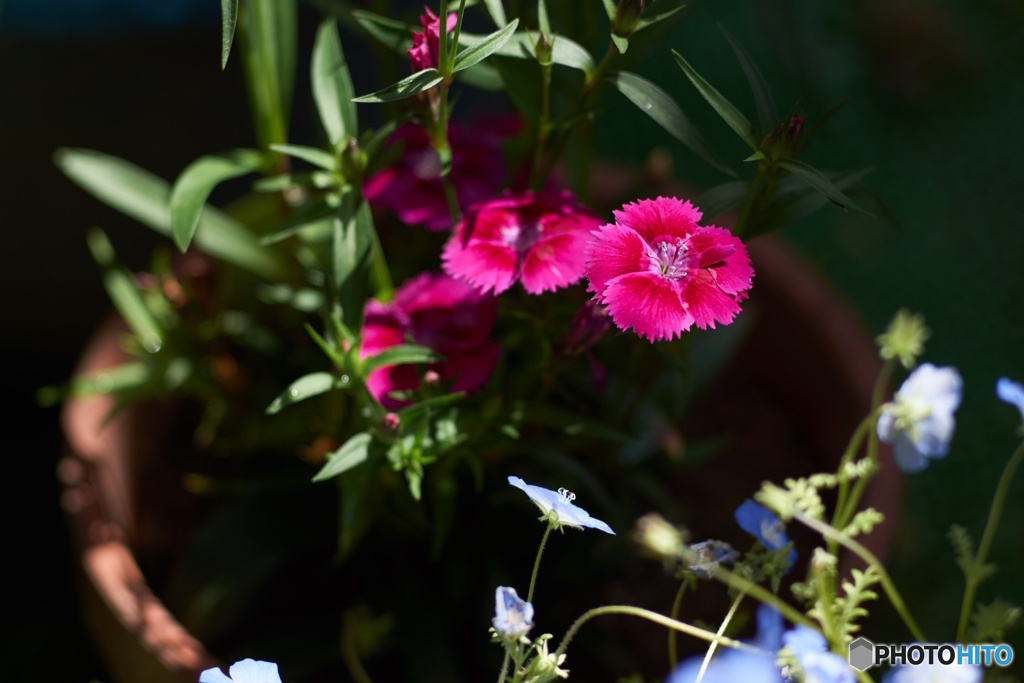 B833D854-C95C-4216-8A83-8D8A40003EA0