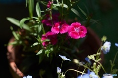 B833D854-C95C-4216-8A83-8D8A40003EA0