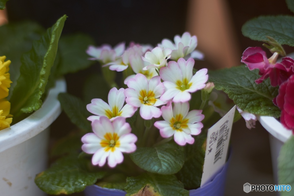 1E87352D-2A9E-4715-9F2B-7B9ADB16121A