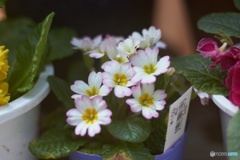 1E87352D-2A9E-4715-9F2B-7B9ADB16121A