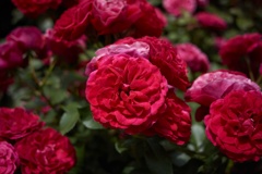 A8BE42C9-5243-4DF9-A546-84DDECEF00E9