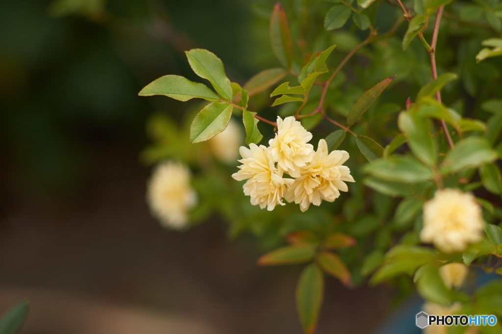 6D3912CC-E5E3-4A10-B1D7-804A47FD5D7D