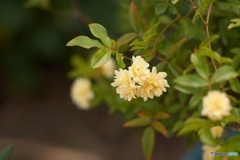 6D3912CC-E5E3-4A10-B1D7-804A47FD5D7D