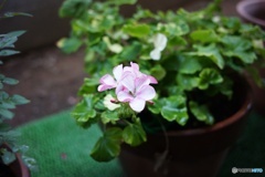 A1AB7551-7E86-4245-9ECE-136036A77CEA