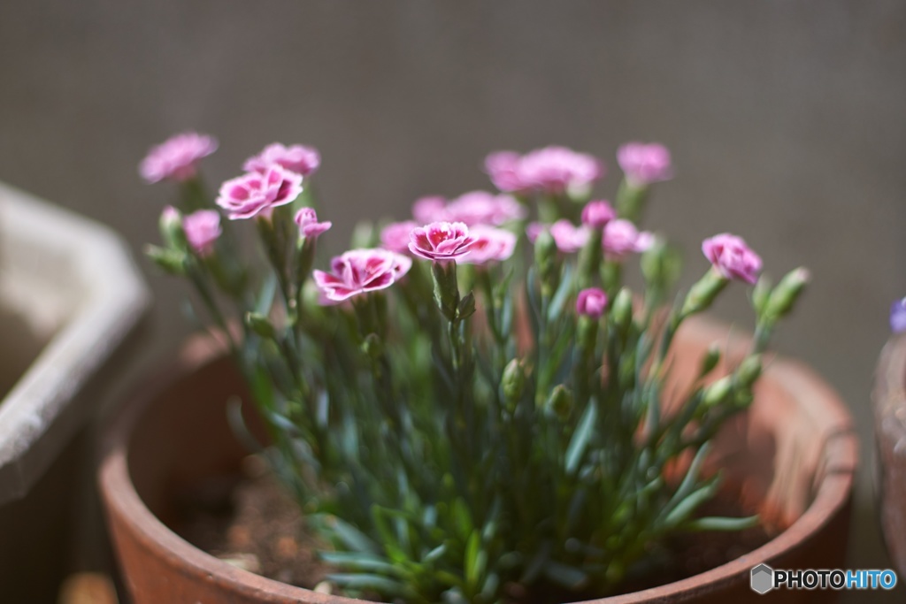 C80E1757-A467-4624-959E-6571ADEA709D