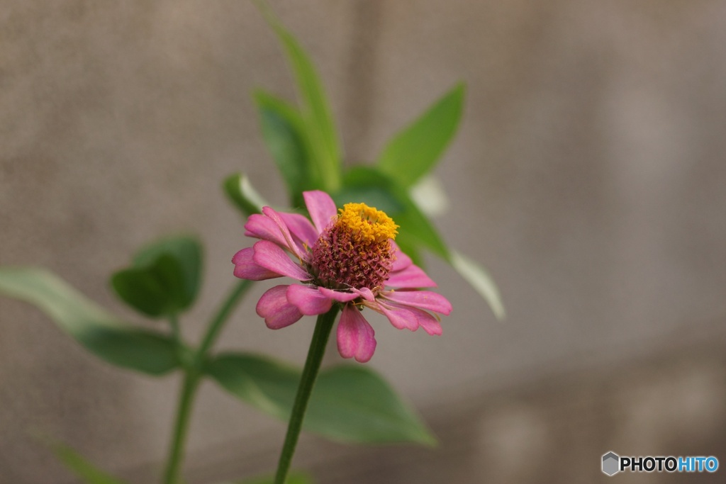 1F36AE61-A17D-4FB0-B7A4-084BF7588DDD