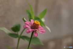 1F36AE61-A17D-4FB0-B7A4-084BF7588DDD