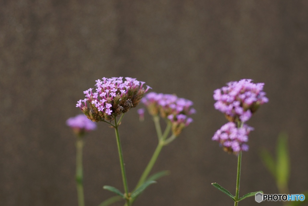 5D64154C-A8C2-4366-9AE2-4E375799143B