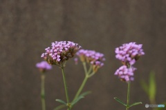 5D64154C-A8C2-4366-9AE2-4E375799143B