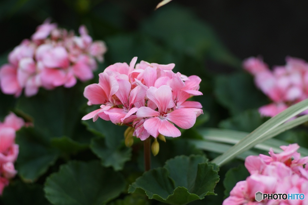 B1BE1FCA-8588-4F12-8273-72998046978F